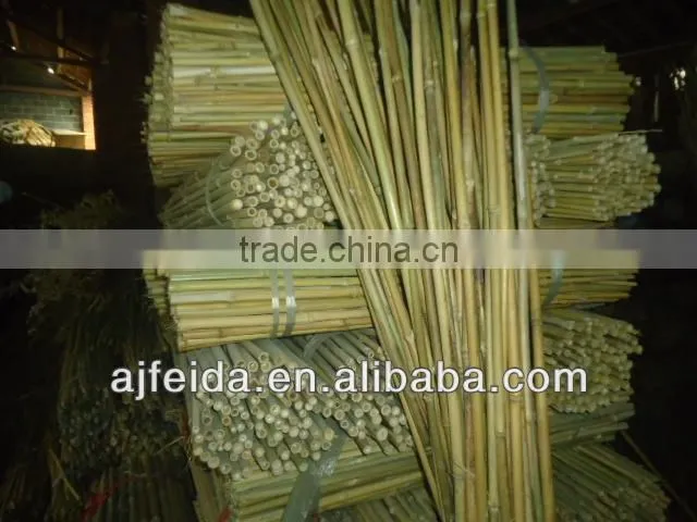 FD07-natural eco-friendly Bamboo Poles/cane