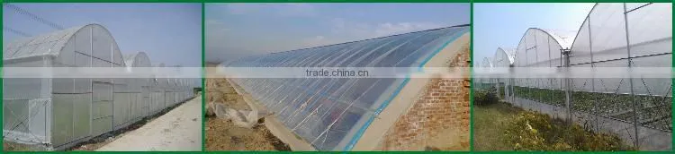 Agricultural greenhouse film