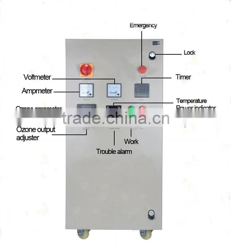 10g/20g/30g/40g/50g Large zone ozone generator ozonator