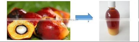 Most popular turn-key project palm oil factory for sale