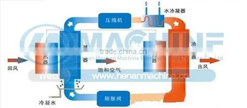 Stainless fruits dryer machine with lowest price