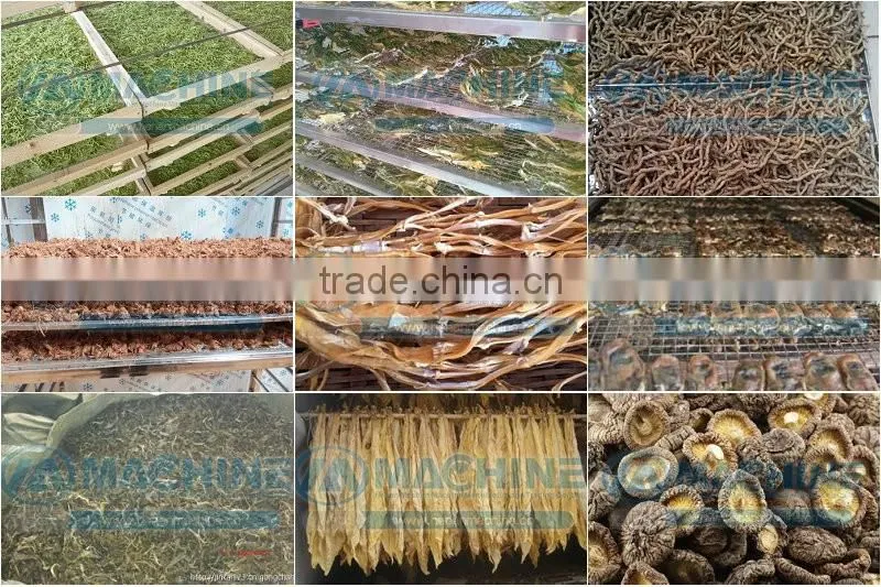 Most energy saving dried meat machines fruit drying oven cocoa drying machine