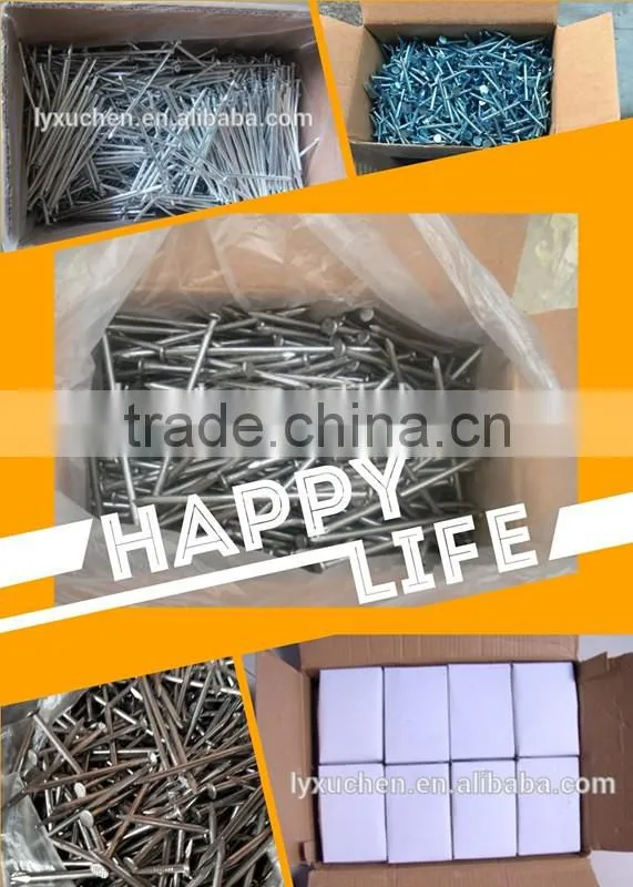 2.5" POLISH NAIL / COMMON NAIL / WIRE NAIL COST PRICE SELLING