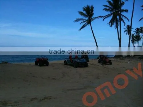 800cc 4x4 EEC Buggy