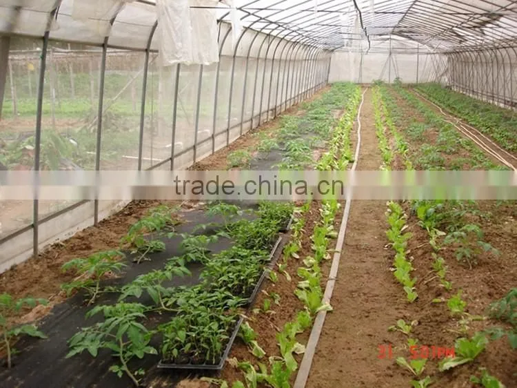Bulk Buy From China Pp Spunbonded Raw Material Agricultural Greenhouses Fabric
