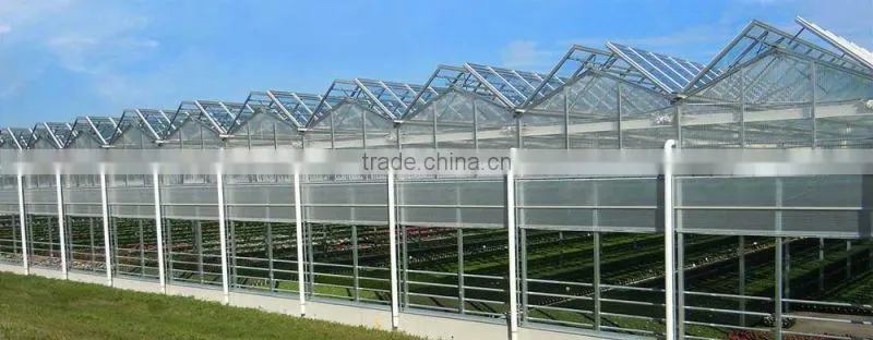 RoughBrothers Aluminium Greenhouse