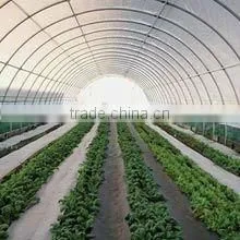 polyethylene Woven fabric,Printed and Waterproof PE plastic sheets