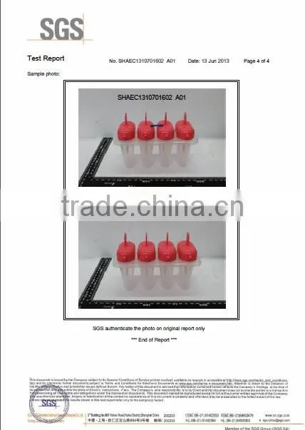 2092 New Plastic Home ice cream maker with 6 moulds