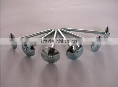 High quality polished umbrella roofing nails in China
