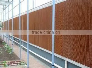 Commercial Plastic Film Blackout Greenhouse for Medical Plant