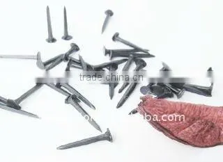 shoe tacks in nails