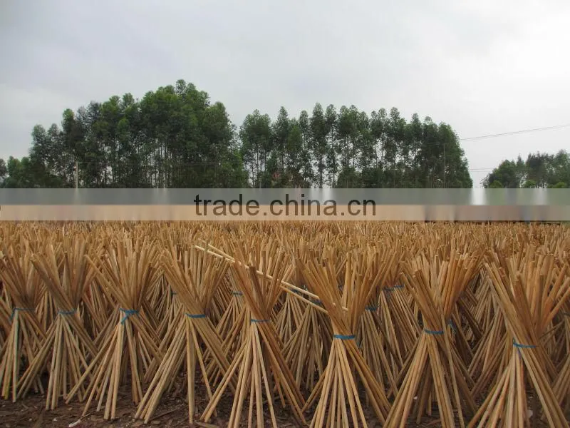 Cleaning Floor Mop Stick Handle