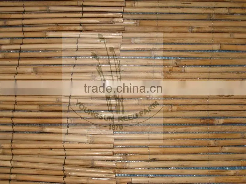 bamboo fence