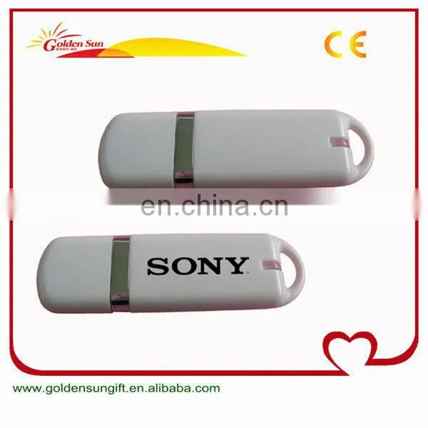 Hot Selling Customized 256GB USB Flash Drive