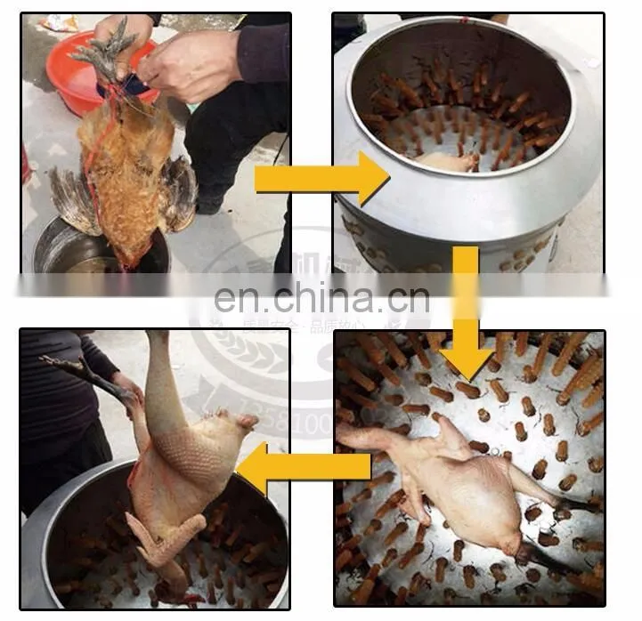Chicken Feet Price Chicken Feather Cleaning Machine/Small Poultry Plucker