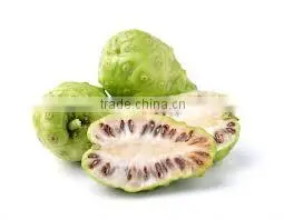First quality Noni powder exporters