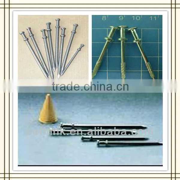 double head nail/two head nails (reasonable price)
