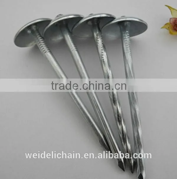 galvanized roofing nails/ umbrella roofing nails