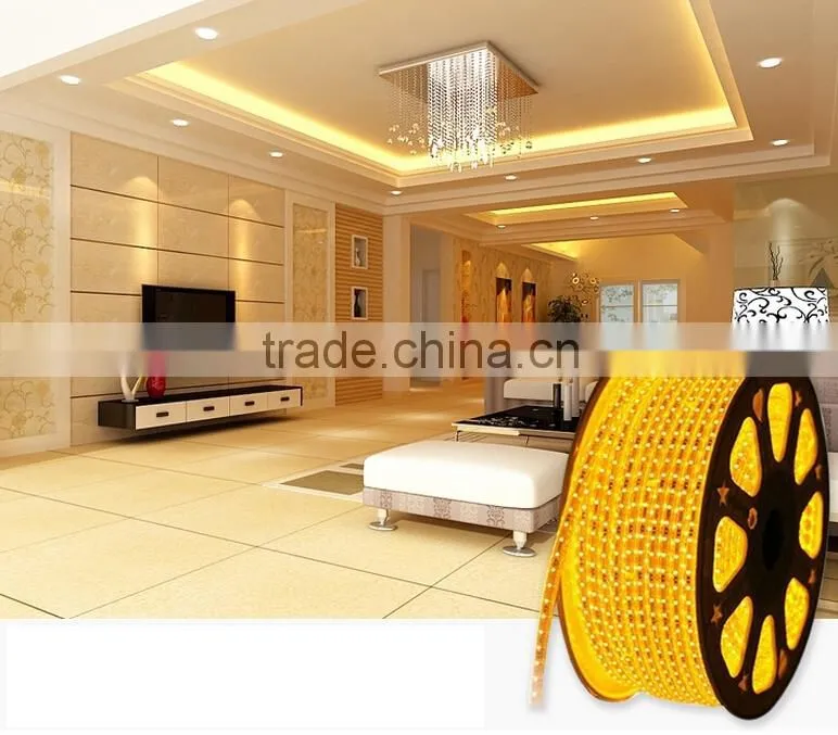 TOP SELLING Waterproof IP65 60leds/meter SMD5050 Flexible RGB led strip/chain light