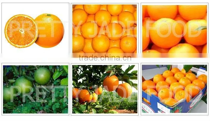 FRESH BABY MANDARIN