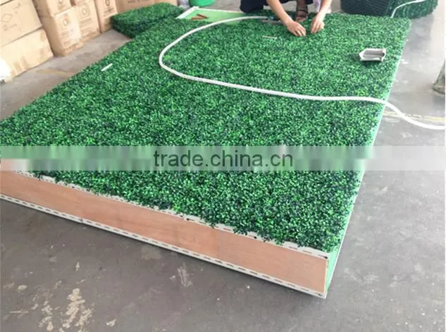high quality artificial boxwood hedge /fence for decoration