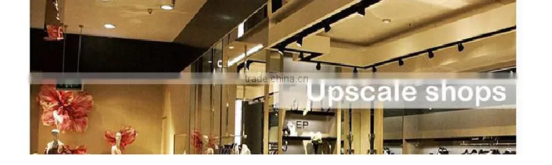 energy saving 10W IP65 led down light COB chip China