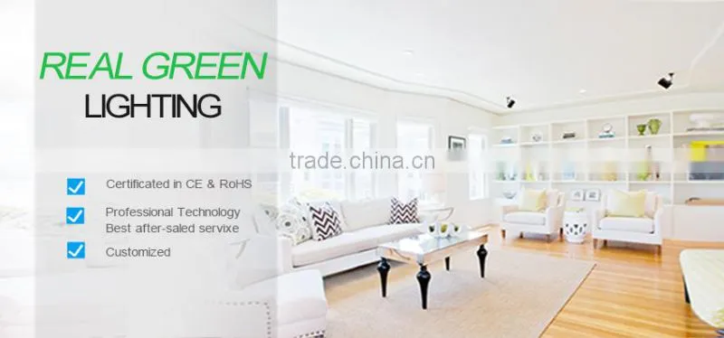 SMD 10W 640LM Aluminum Alloy 2015 SMD IP44 Waterproof Certificated in CE ROHS LED Downight