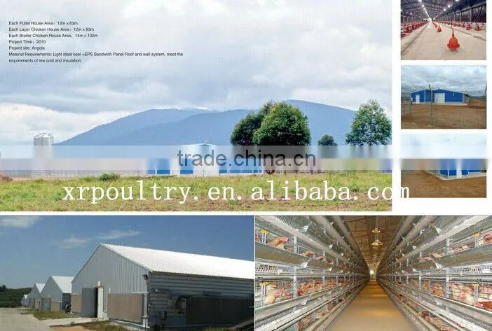 Turnkey project professional automatic poultry chicken farm house