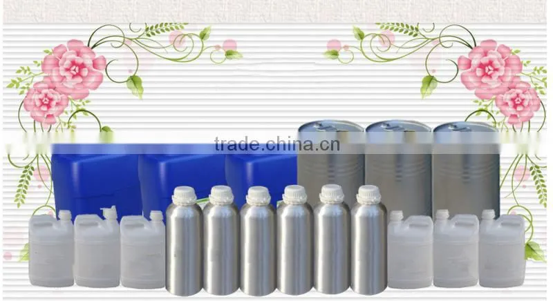 Best Quality Vegetable Extract Garlic Extract/ nautral garlic oil