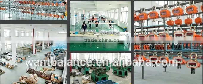 digital crane scale, hanging scale