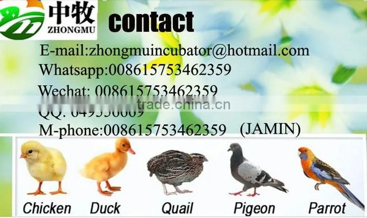 ZM-352 fully automatic egg incubator with ISO certification