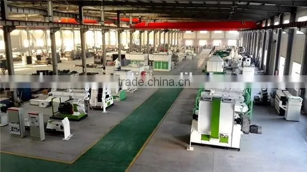 Our Customer Visit Factory _ RICHI _ Feed Pellet Production Line _ Pellet Mahinery
