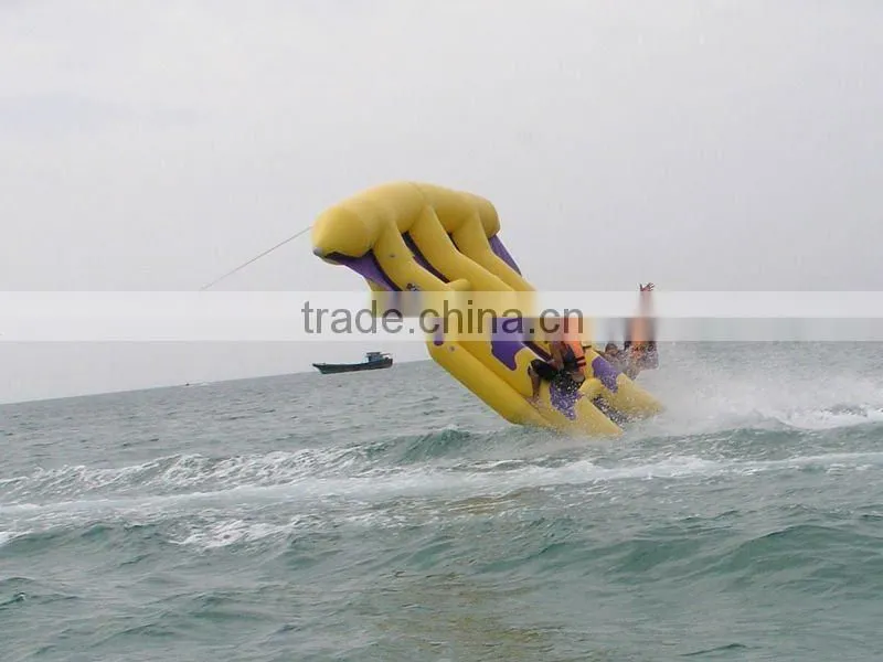 water sport CE flying fish