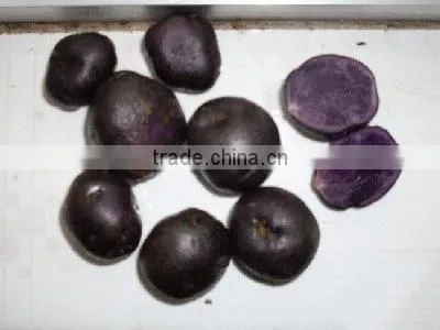 Sweet purple potato