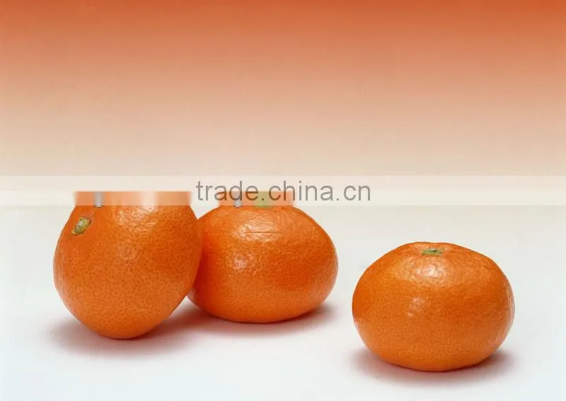 2012 fresh china orange supplier in china