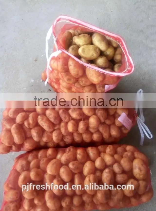 2015 Autumn Crop Potato