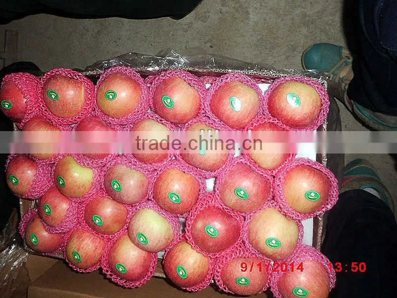Wholesale Prices Fresh Apple Fruit / Red Fresh Apple