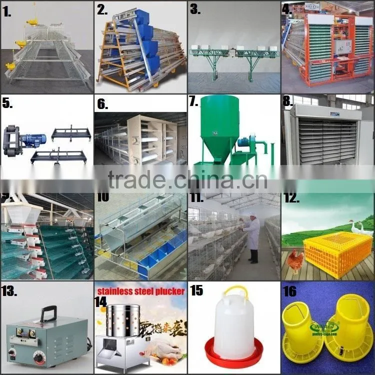 INNAER factory supply all kinds chicken coops for poultry chicken farm