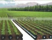 saving water Micro Drip System