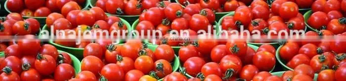 Hot sale High viscosity filling machinery/tomato sauce filling machinery/ketchup filling machinery