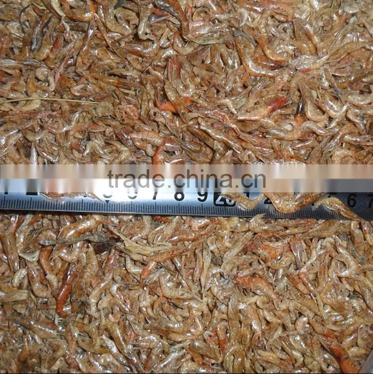 Nutrient pet food dried shrimp for sale