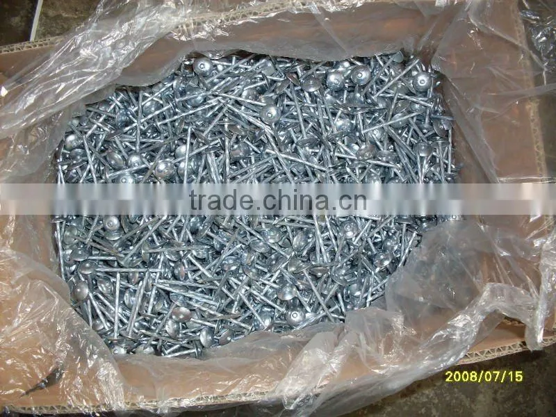 Nails roofing nails