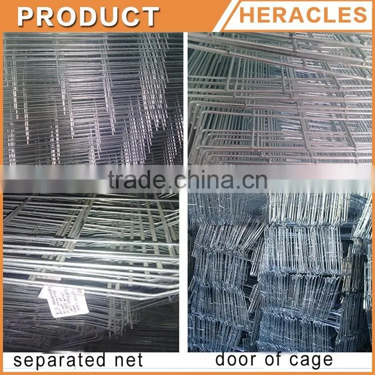Heracles A-type alibaba hot sale automatic chicken ayer cage for sale in philippines