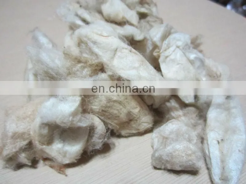 White Eri Cocoon
