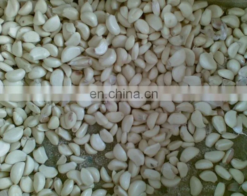Practical and affordable no damage garlic processing equipment for sale