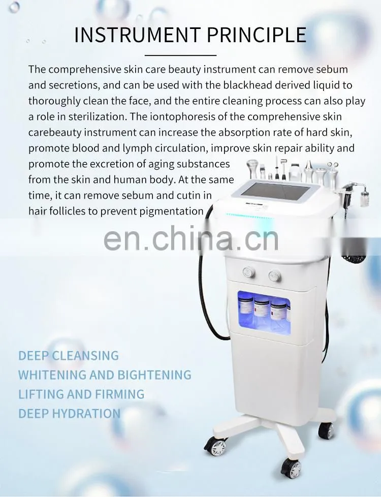 10 IN 1 Comprehensive Facial Massager Beauty Instrument Ion Bubble Cleansing Oxygen Hydration Rejuvenation Skin Care Machine