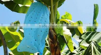 LDPE blue banana plastic bags with chloropyrifus