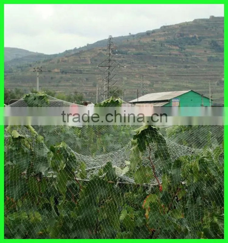 virgin HDPE high stretch woven bird mesh anti bird netting for sale