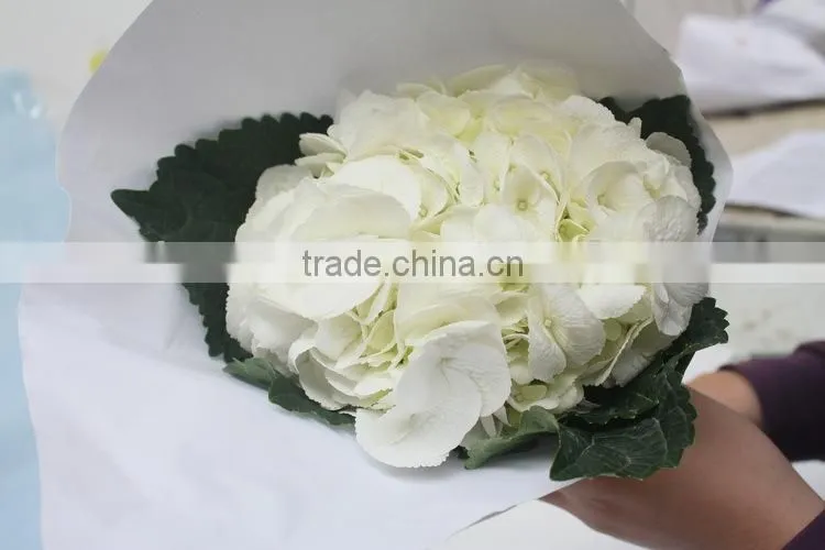 Alibaba china hotsell flower gift hydrangea