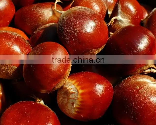 Hot sale chestnut shelling machine on promotion